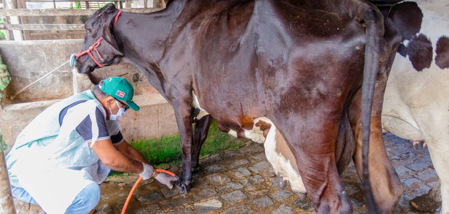 Criadores participam de curso sobre manejo sanitário e reprodução animal na Paraíba