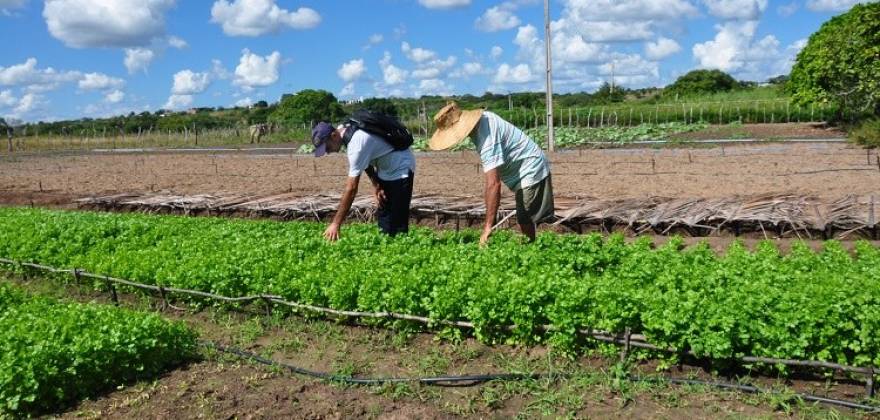 Paraíba lidera aplicação de crédito do Pronaf Agroecologia no País